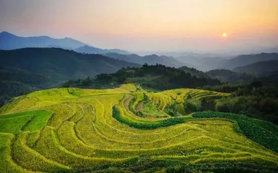 南平除了武夷山还有哪些景点,福建南平市武夷山风景区游记
