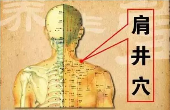 【健康】头痛、背痛、肩痛…身体7个止痛开关,哪痛按哪!