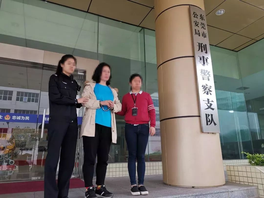 清远周某文谢某杰案情,清远周某文等人涉嫌套路贷