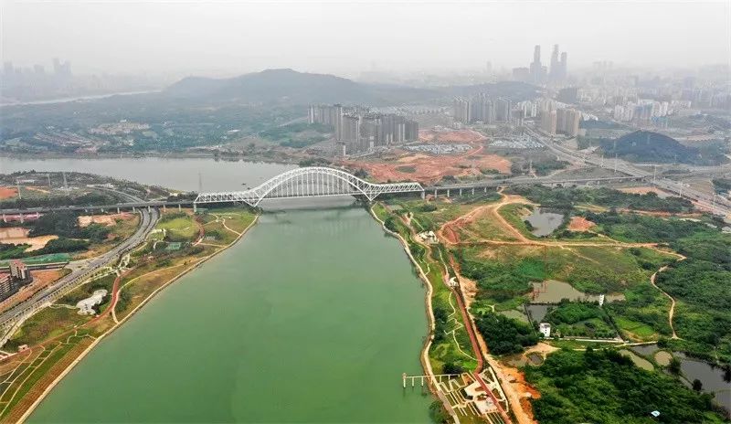 祖传风湿特效药批发,风湿治疗药物独家产品