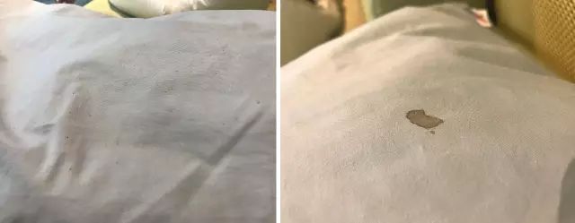 丹麦皇室用什么枕头好 (丹麦最好用的枕头)