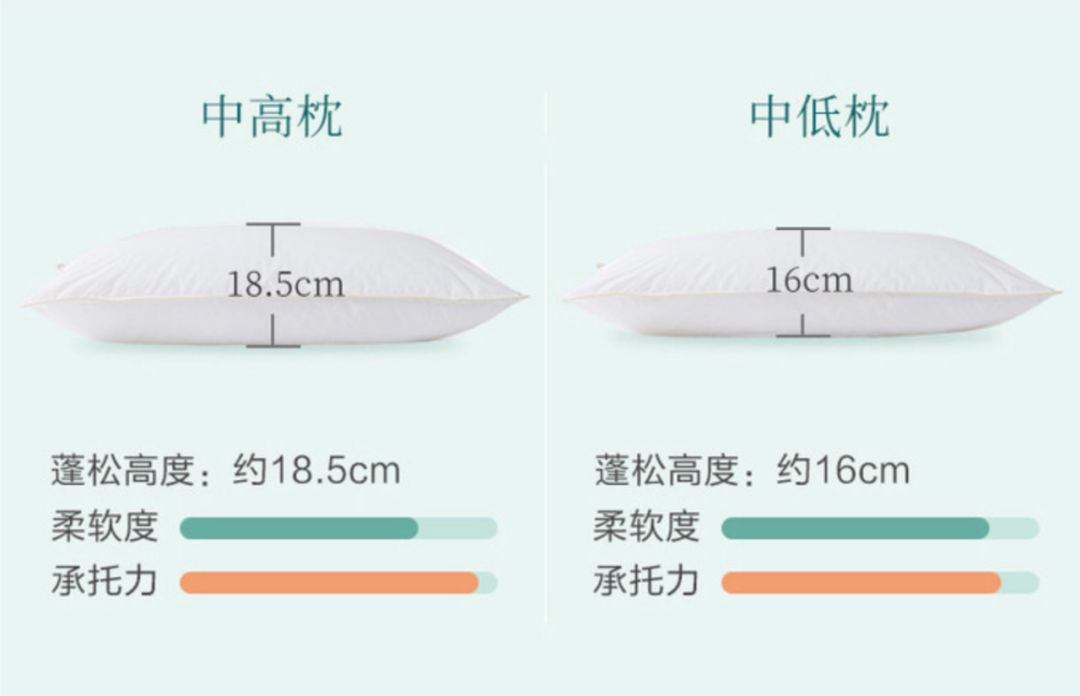 丹麦皇室用什么枕头好 (丹麦最好用的枕头)