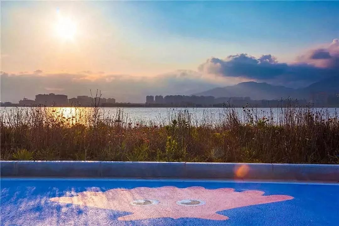 市区出发1h藏着一个“绿岛”？赛车、帆船、直升机…梅山原来如此洋气！