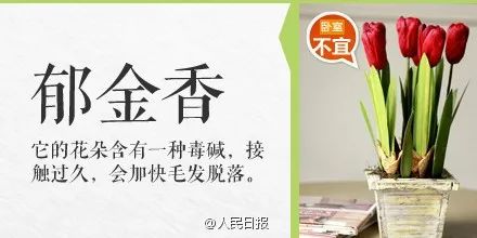 崇左人注意！碰了一下就中毒，严重者可致命！这个毒物很多人家里有！