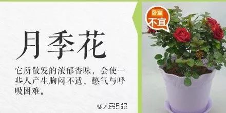 被误食的致命毒物,一碰就中毒怎么处理