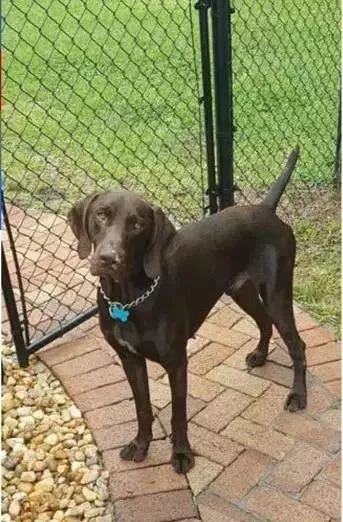 闻毒品气味算吸毒吗,缉毒犬闻毒