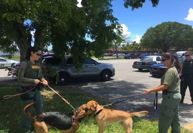 闻毒品气味算吸毒吗,缉毒犬闻毒