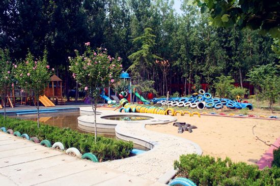 金摇篮幼儿园六一儿童节舞蹈,爱的绽放团购