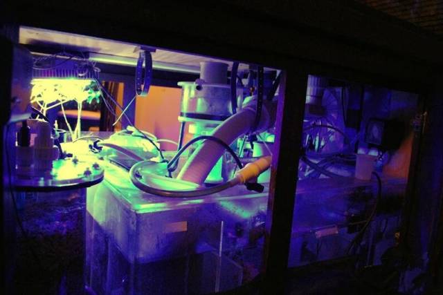 鉴定完毕！这一定是个有钱的主儿