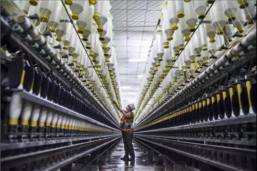 “我看邢”——“千年古县”宁晋行“一区六园”产业兴