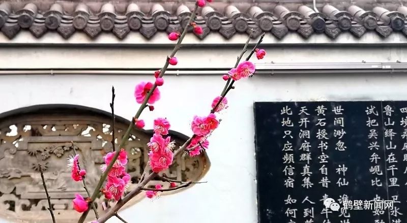 鹤壁新闻网通报,鹤壁新闻网头条新闻