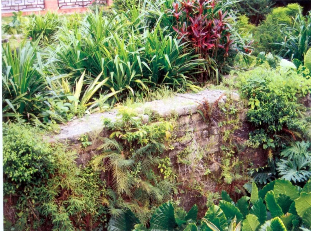 西关明记历史,西关的历史由来