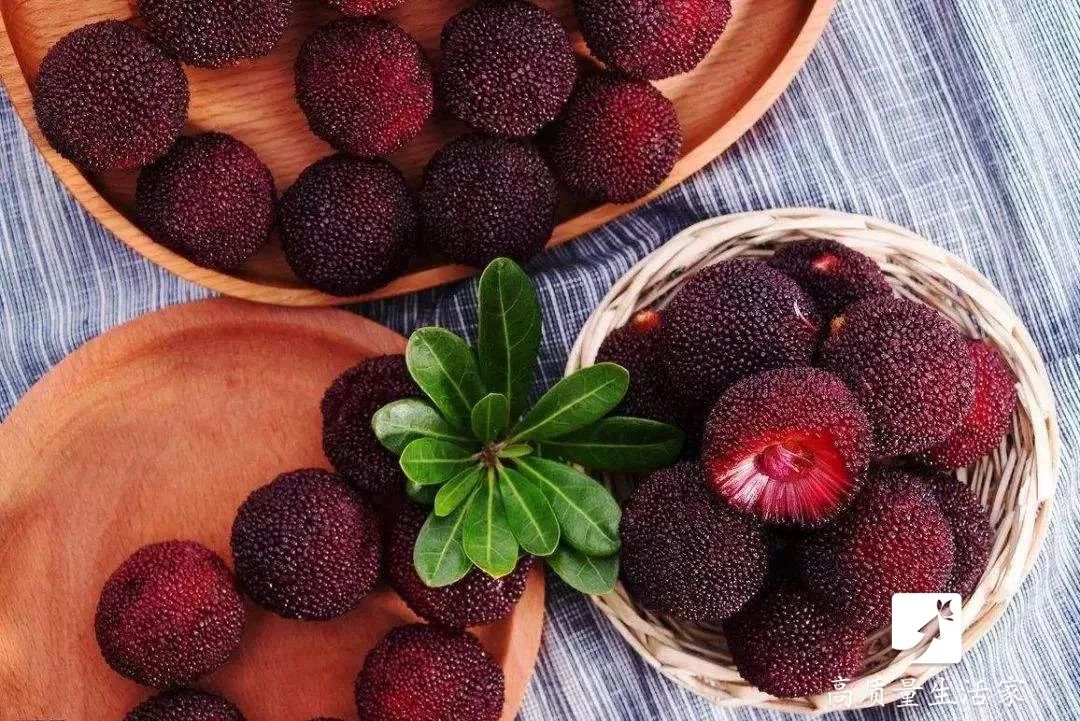 洗杨梅用什么去虫卵,洗杨梅加什么才能驱虫子呢