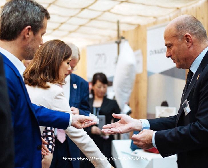 丹麦皇家乳胶枕头,丹麦珊瑚绒枕头