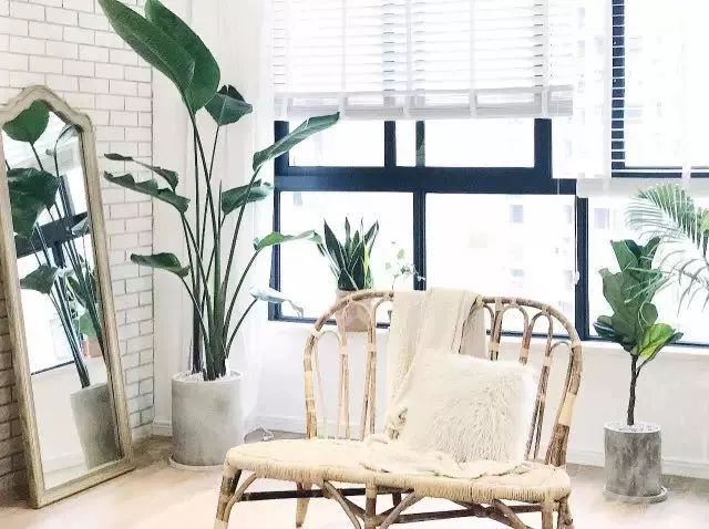 藤编家具为什么不建议买,年轻人用藤编家具