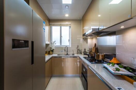 双开门冰箱买什么样的好,双开门冰箱就真不值得推荐吗