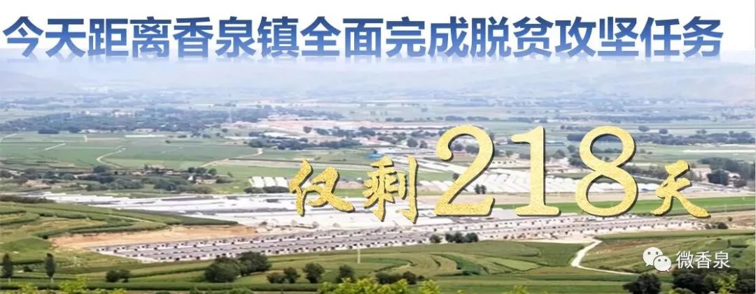国家专项计划甘肃各高校录取分数,甘肃省可以报高校专项计划的县