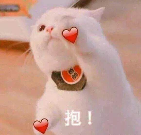 大s年轻的时候有多叛逆,大s看起来很年轻