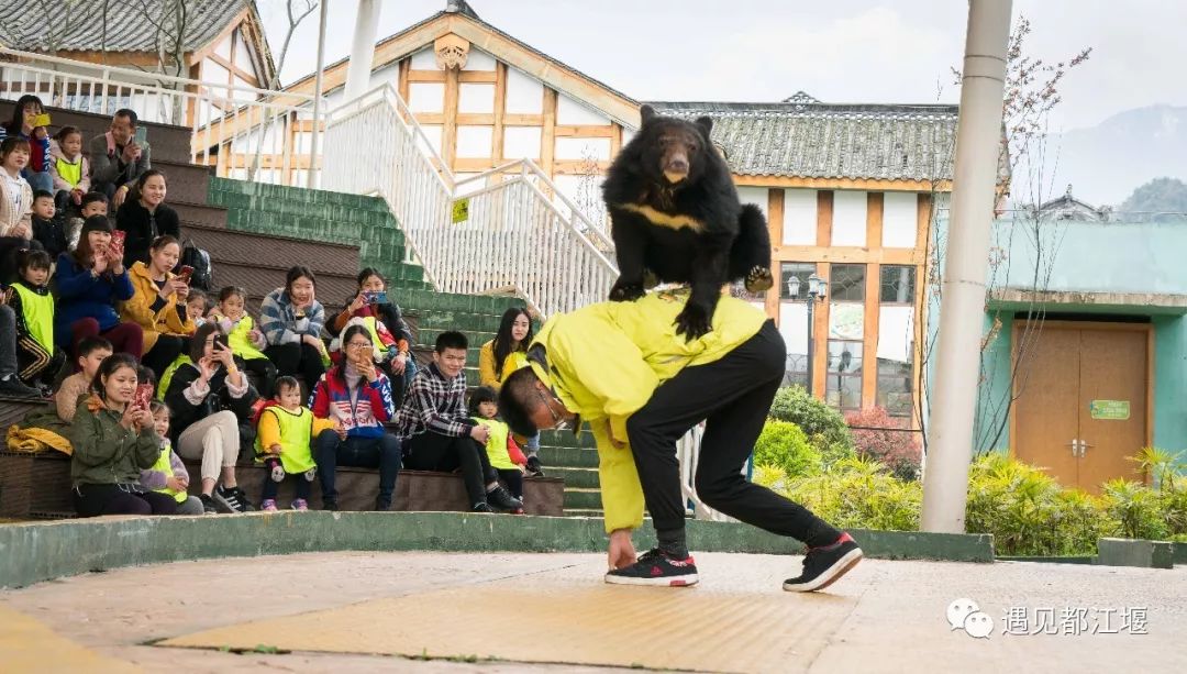 儿童节去哪里好玩,六一都江堰适合1-4岁亲子游的地方