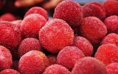 湖州老太尝鲜杨梅却直接进ICU!这种说法切莫再相信了!