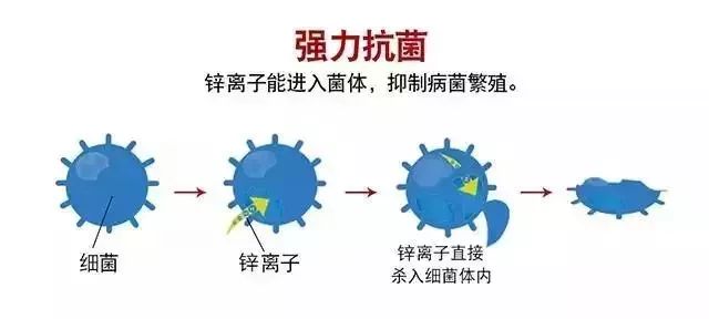 女性裤子裆部有异味怎么办,无痕裤内裆