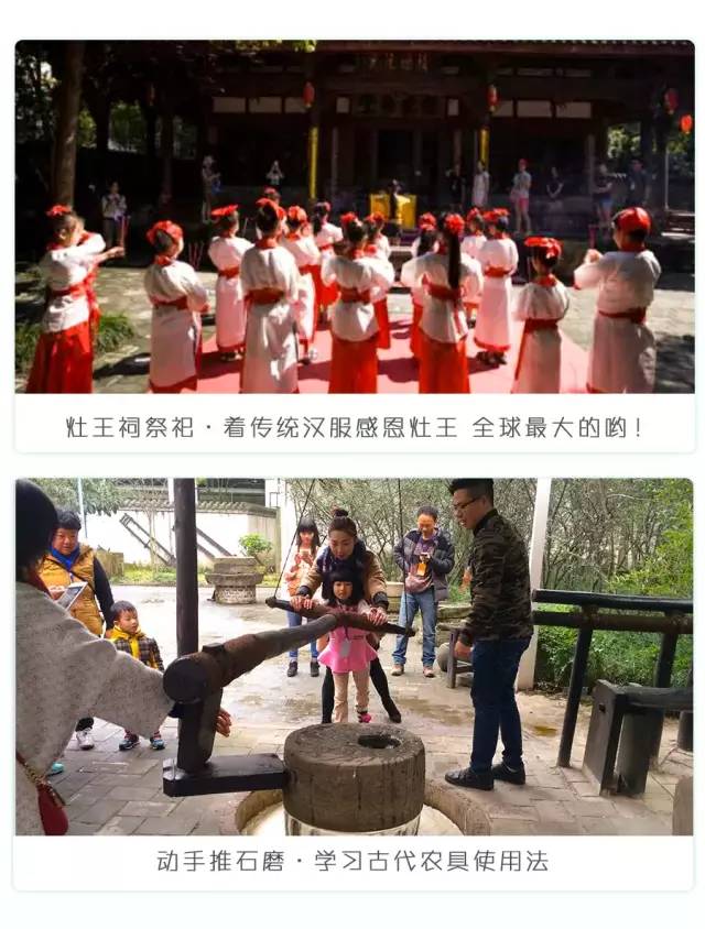 都江堰熊猫谷铲屎官报名,成都大熊猫铲屎官志愿者活动