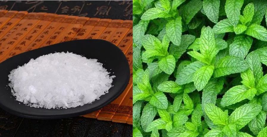 蚊虫叮咬脚气怎么办,超好用的止痒消肿的药膏蚊虫叮咬