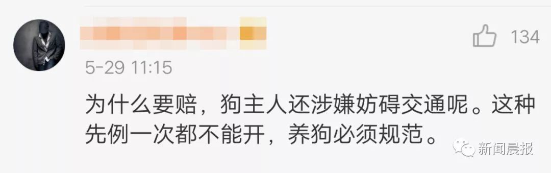 女子开车撞狗怎么判,女子驾车撞狗被判主责