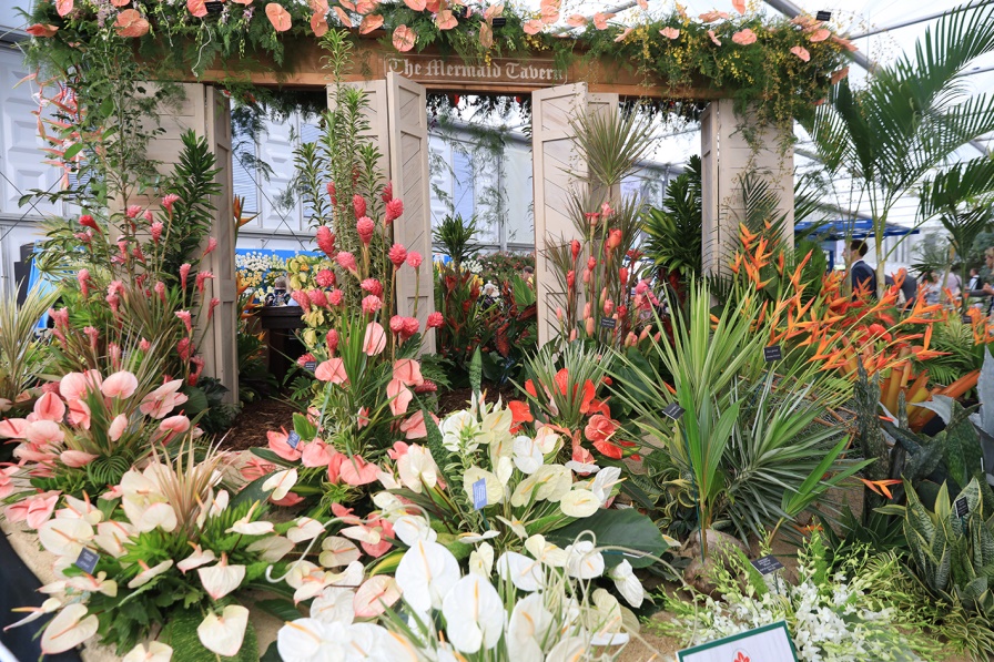 HAZZYS花漾VIP畅享英伦，环游大不列颠！