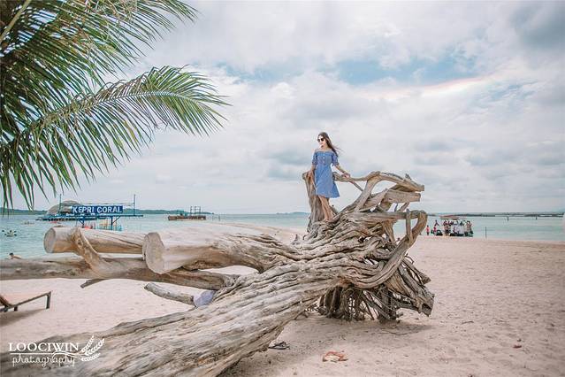 宸存贰灏忓反鍘樺矝,宸存贰