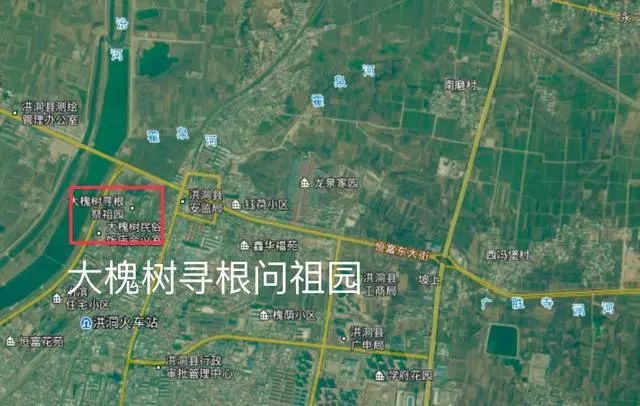 山西大槐树传说究竟是什么,山西临汾洪洞大槐树传说