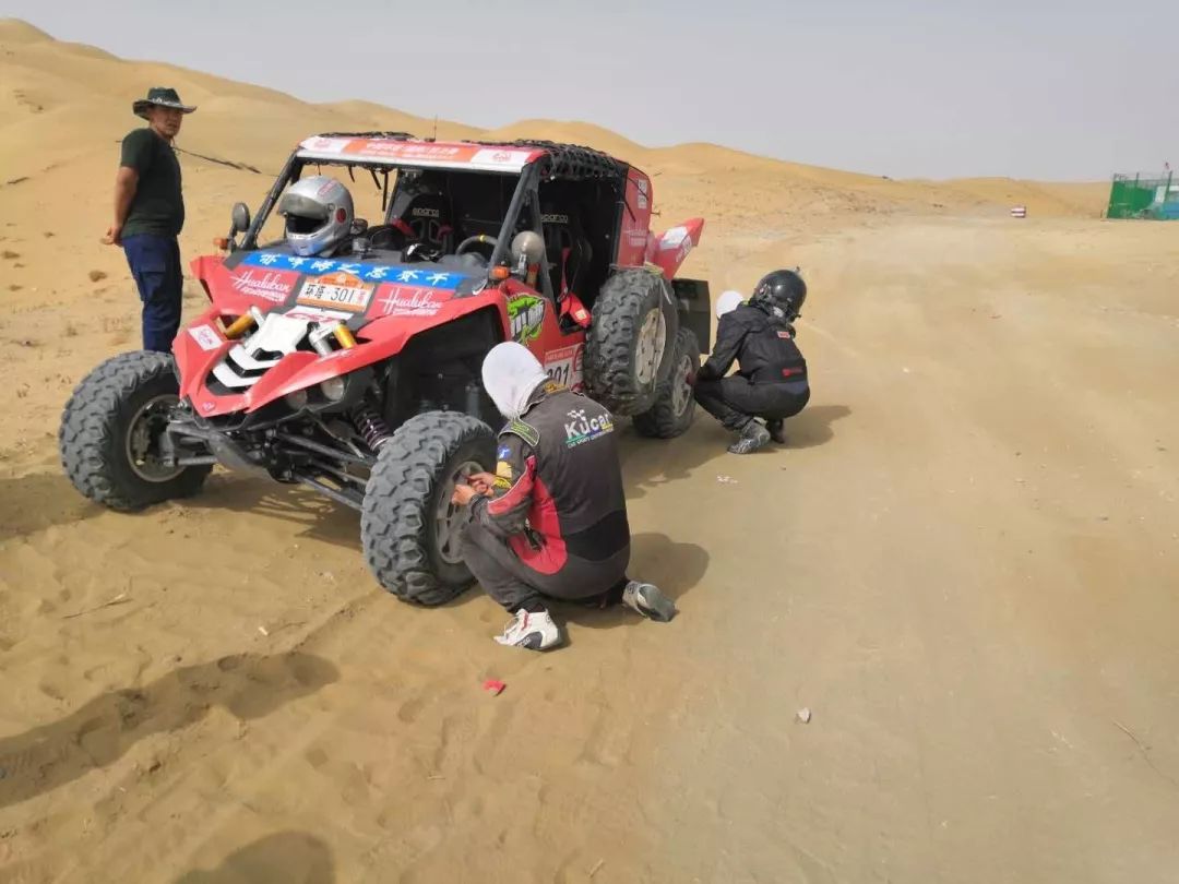 今日互动是什么,今日互动