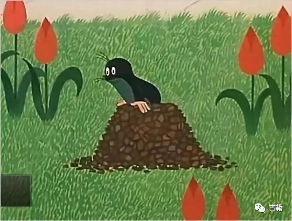 那些年我们一起追过的电影,那些年我们一起追过的剧