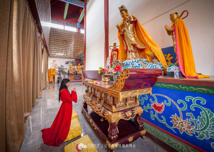 他让高寒干旱地开满牡丹花，打造西北牡丹第一园