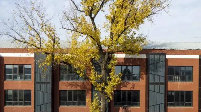 名企齐聚圈层,名企齐聚新东方