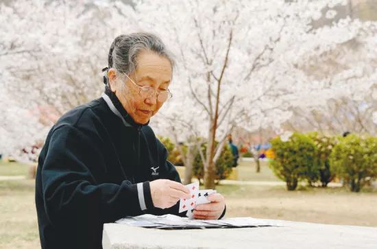 建设老年友好城市八个方面,老年友好型城市
