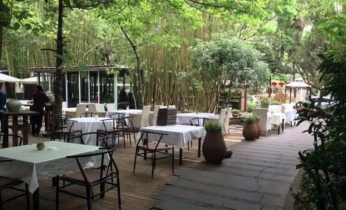 城味|翠湖：蕴含文化的“眼睛”更灵动