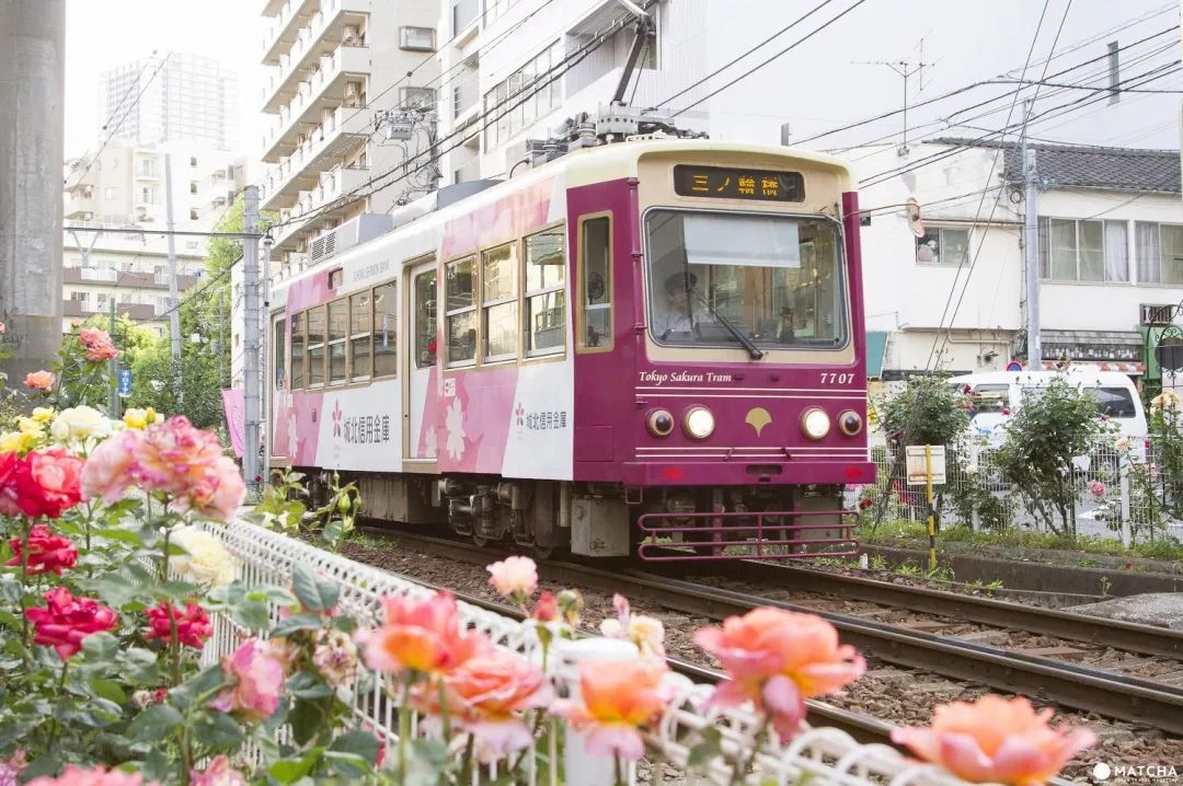 日本七日游温泉酒店,去日本旅游100次