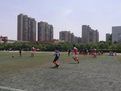 光山紫水学校照片,光山县紫水学校2020届