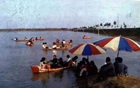 老照片100张阜阳三角洲,高清阜阳八十年代照片