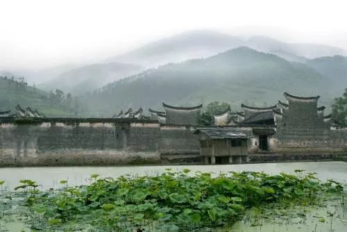 周家大院牡丹,周家大院深谷幽兰