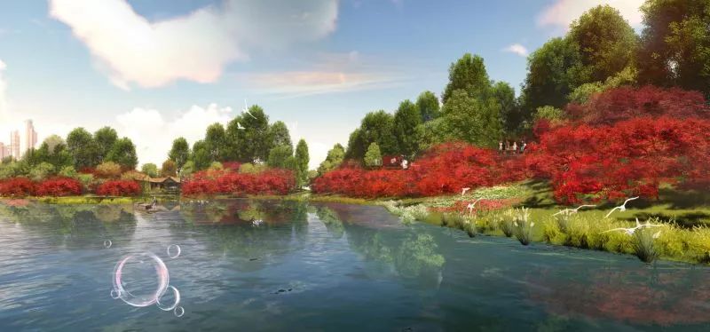 双流红枫海在哪,红枫湖风景区开放时间最新消息