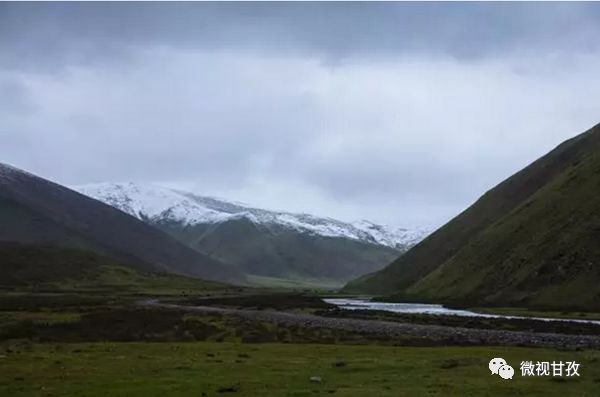 守卫虫草山民警,驻守海拔4800米护航虫草采挖