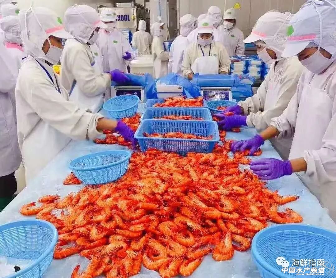 饭店的白灼虾为什么那么好吃,大排档的白灼虾为什么那么鲜甜