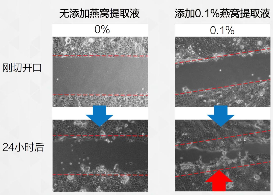 大促必买攻略,大促优惠力度大