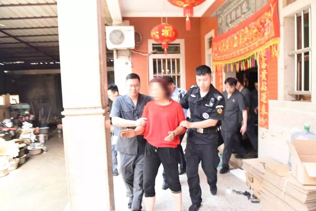 两级法院集中开展雷霆行动,法院推进夏季攻势