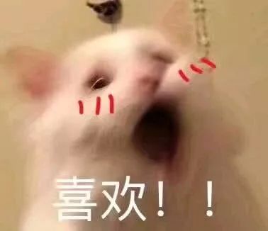 好物|尴尬，我看到你内衣的边边和背上勒出的肉了......