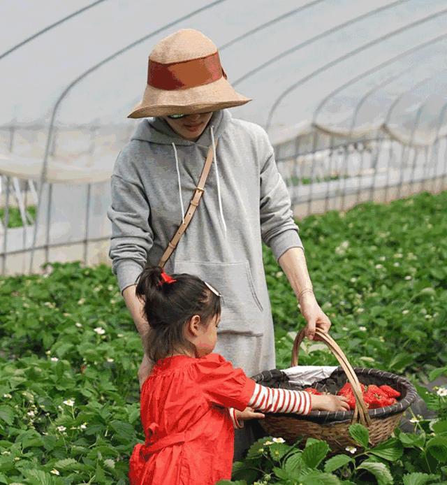 孙俪同款遮阳防晒帽变褶皱怎么办,孙俪夏天戴的遮阳帽