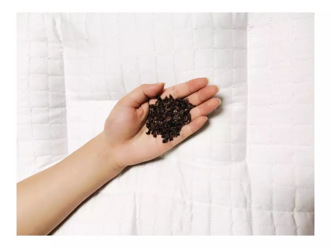 产品测评|关于荞麦枕，用过的人有话说