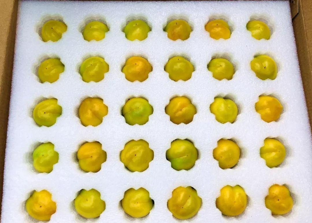 果期仅15天，*安泰**半野生珍珠杏！一口咬下满满桂花香，从牙齿蜜甜到腰！|吃货精选